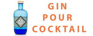 quel gin choisir pour cocktail